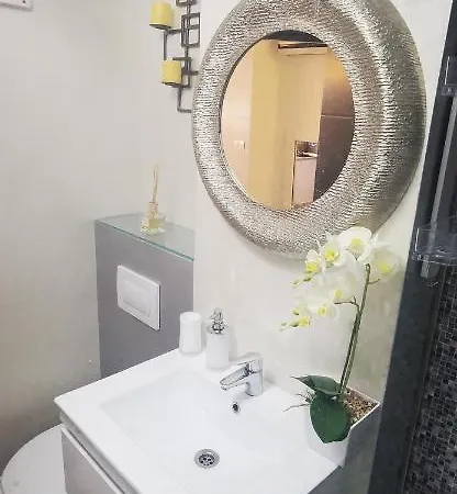 Garsoniera Ultracentral 公寓 *