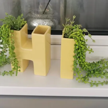 Garsoniera Ultracentral 公寓 康斯坦察