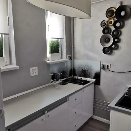 Garsoniera Ultracentral 公寓 *