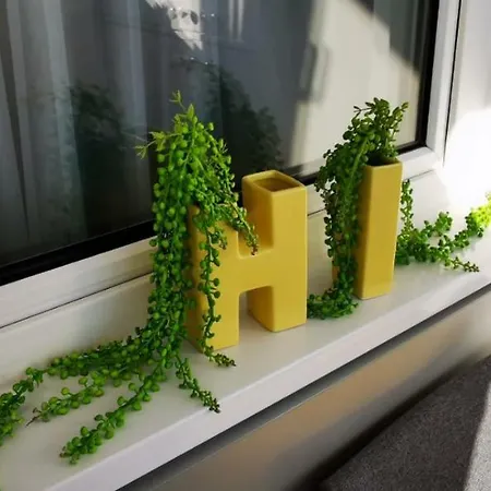 Garsoniera Ultracentral 公寓