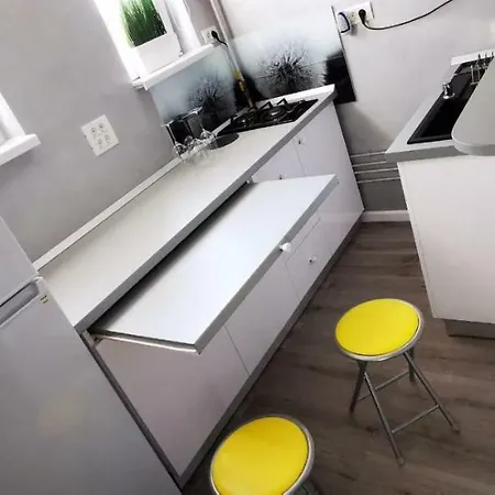 公寓 Garsoniera Ultracentral 康斯坦察