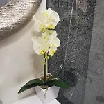 Garsoniera Ultracentral * コンスタンツァ
