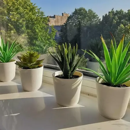 Lejlighed Garsoniera Ultracentral Constanţa